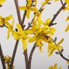 Single branches of winter jasmine, azalea, forsythia, inch gold artificial flowers, artificial flowers, creative new Chinese-style home, wedding decoration, soft furnishing arrangement, silk flowers, artificial flowers, artificial winter jasmine details Picture